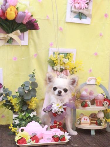 20230307Ricoちゃん